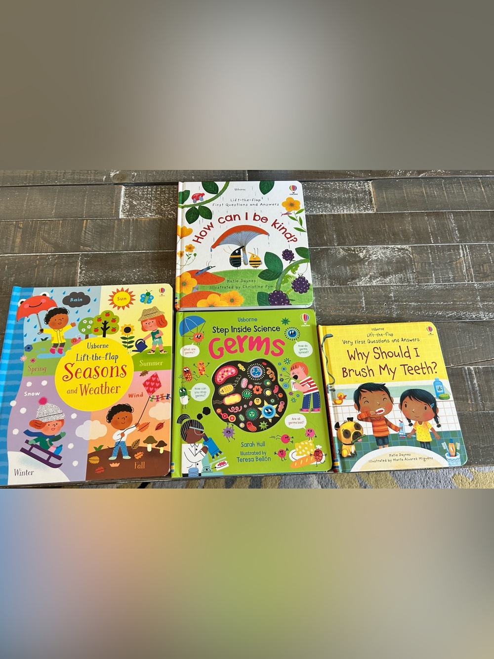Usborne Step Inside Science: Germs - Bright Green and Pink Board Book